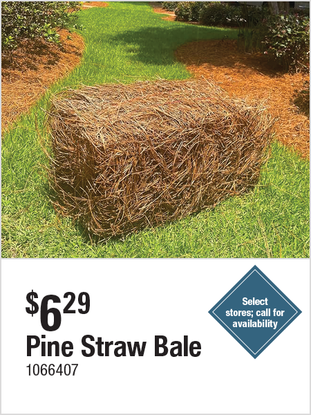 Pine Straw Bale
